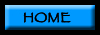 home button